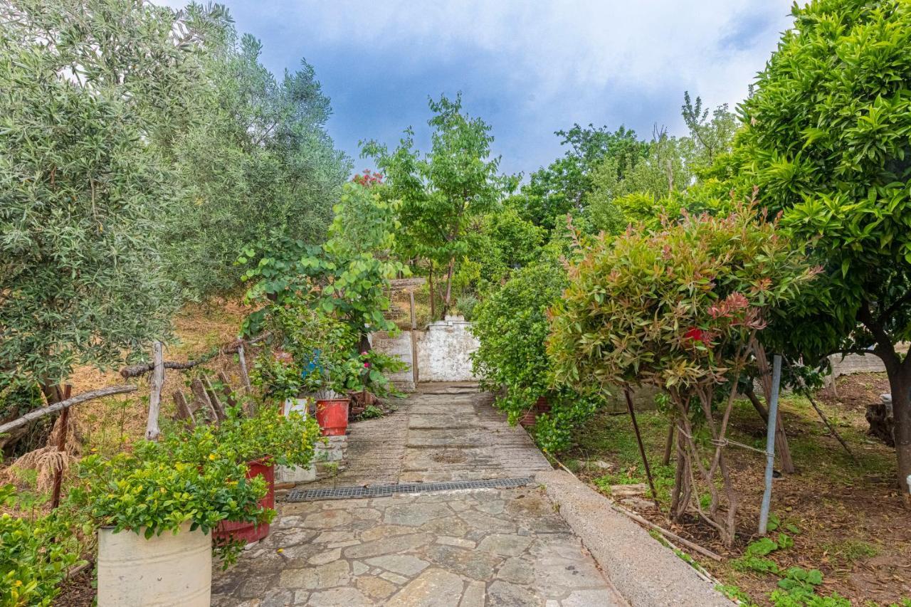 Katerina Fotopoulos Rooms & Apartments - Papanero Com Agios Ioannis  Exterior photo